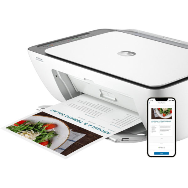 Imprimante multifonction HP DeskJet Ink Advantage 2876 (6W7E6C)